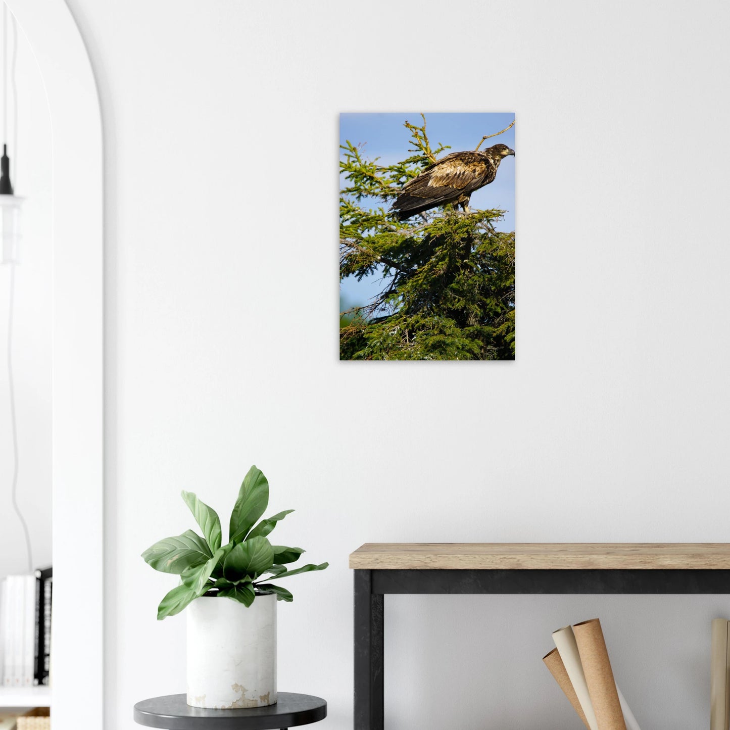 d90fc8c6-3605-488c-808e-f84c40d40dd6