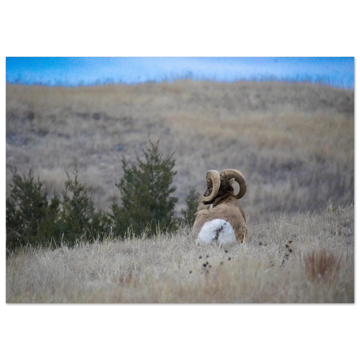 dad544e1-5c42-4921-9eef-aae6bfd93ad9