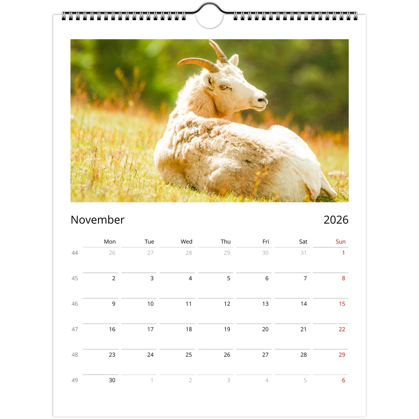 df2bb4b7-5fcd-4aa5-8d83-cce54d76073d