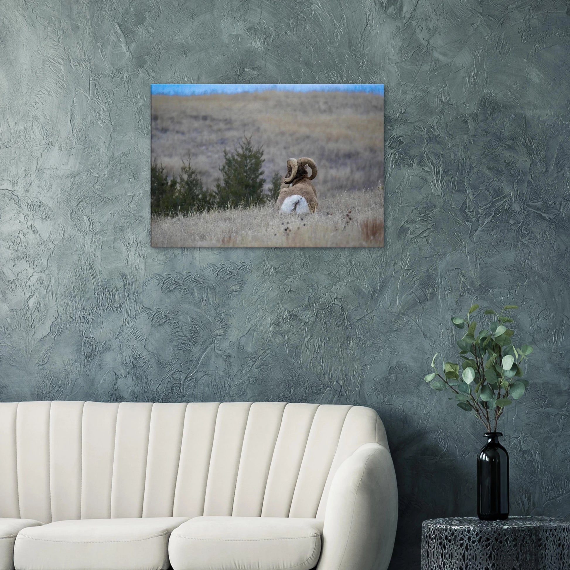 df5357a4-9f29-413c-8bb1-7e4b05cfe03b