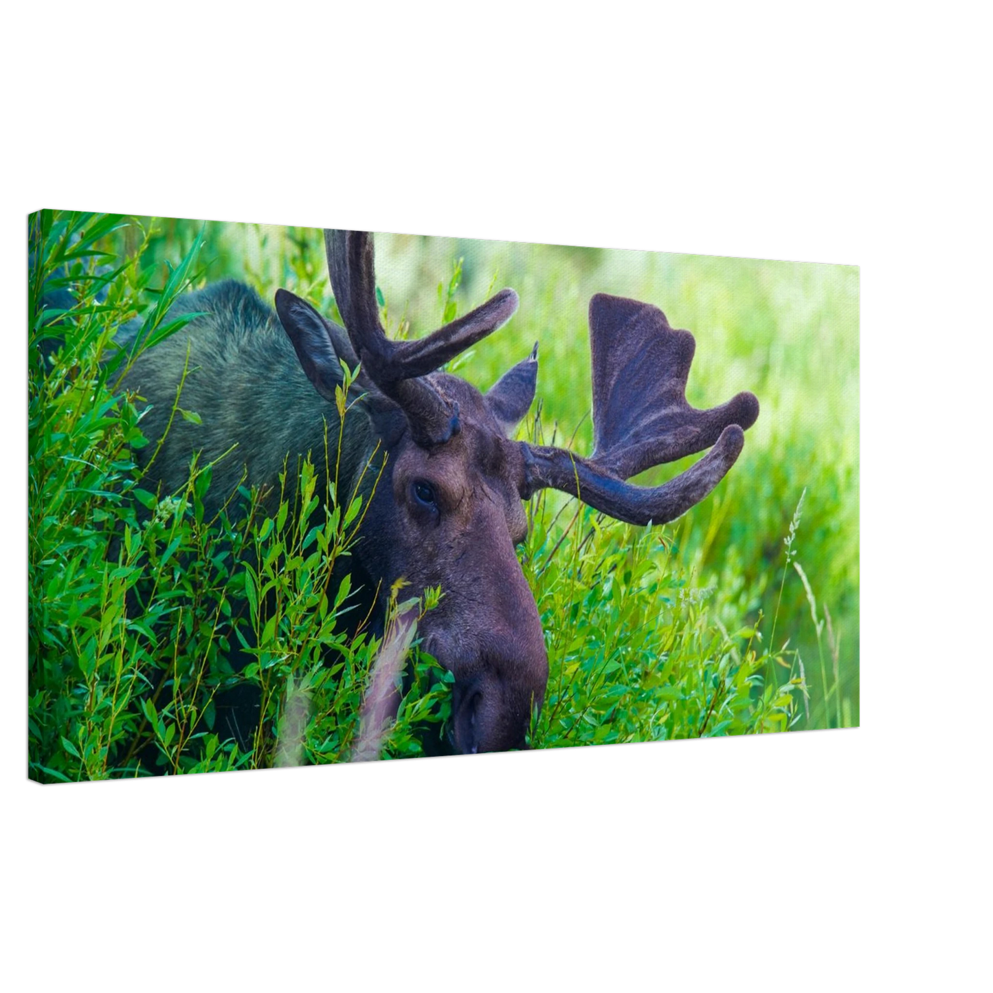 df8dd619-0cc8-4c8d-91b9-4a302127cb78