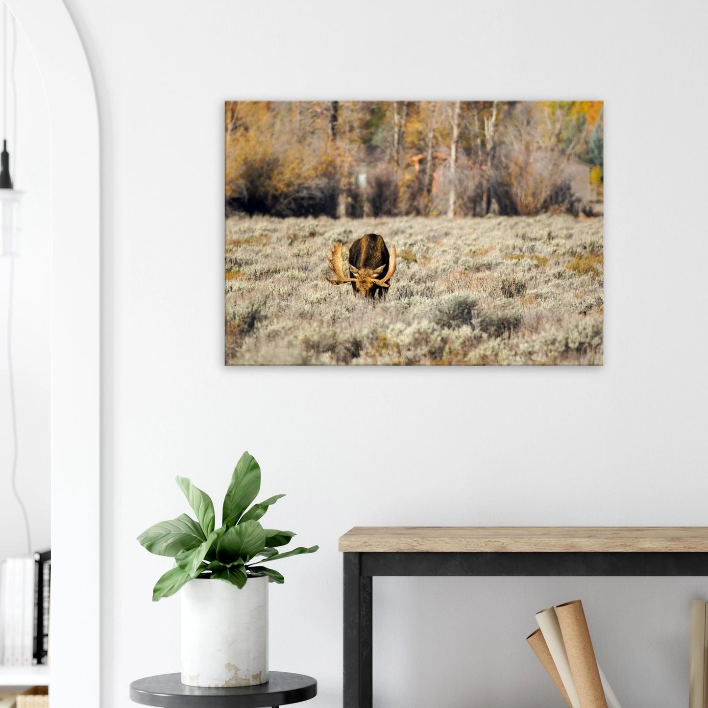 dfccc0a7-58b5-4ae1-87f4-a2f50b2b47db