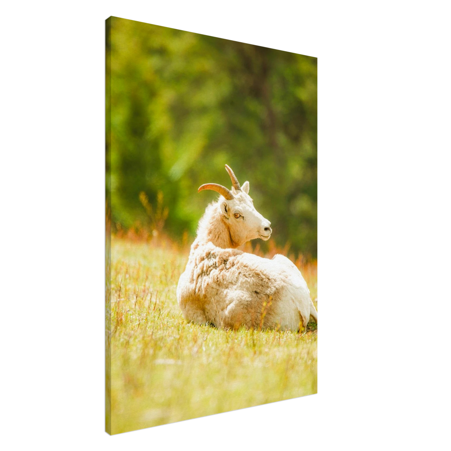 e1799fcc-8cd5-4824-85b8-c39005ce7898