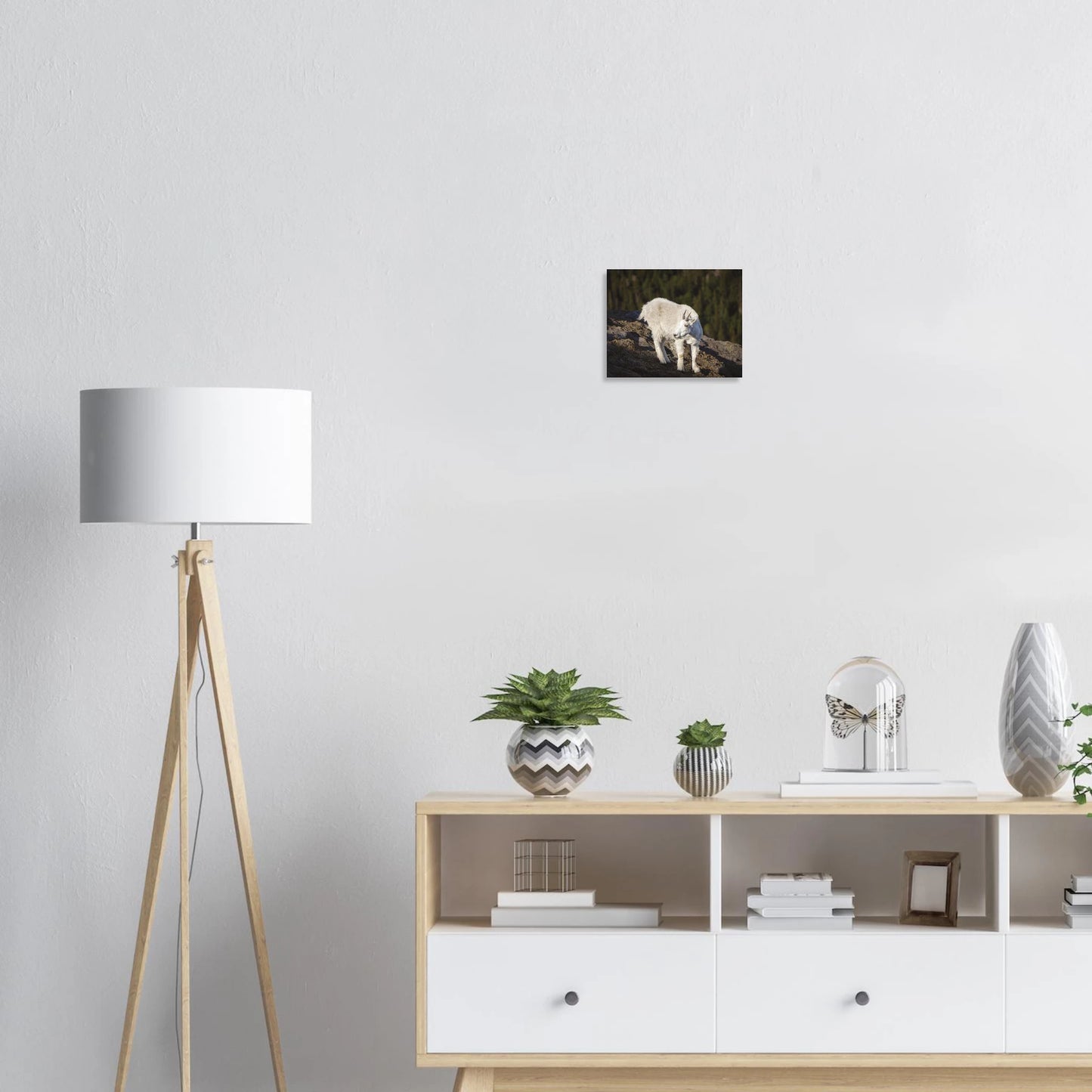 edd25faa-9e62-4c6e-9ff5-cf9b8292e760