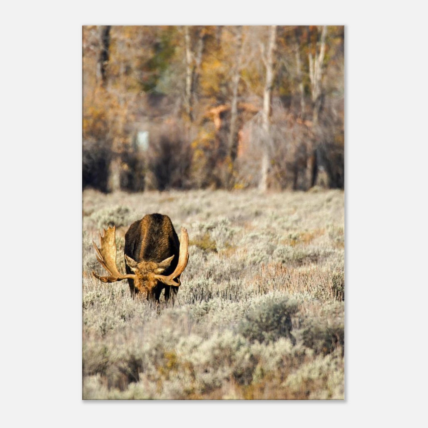 f01f27d7-bbff-4741-8596-b5c696628e99