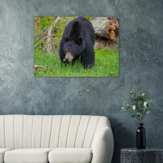 f456c0fa-874b-4d70-bdc6-4b5b45dafcd0