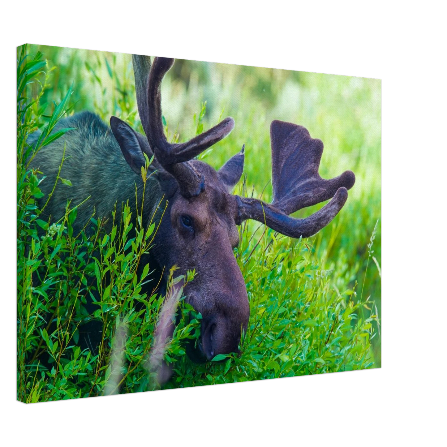 f5891ba7-ca83-4896-9d35-50ac9f8e10b9