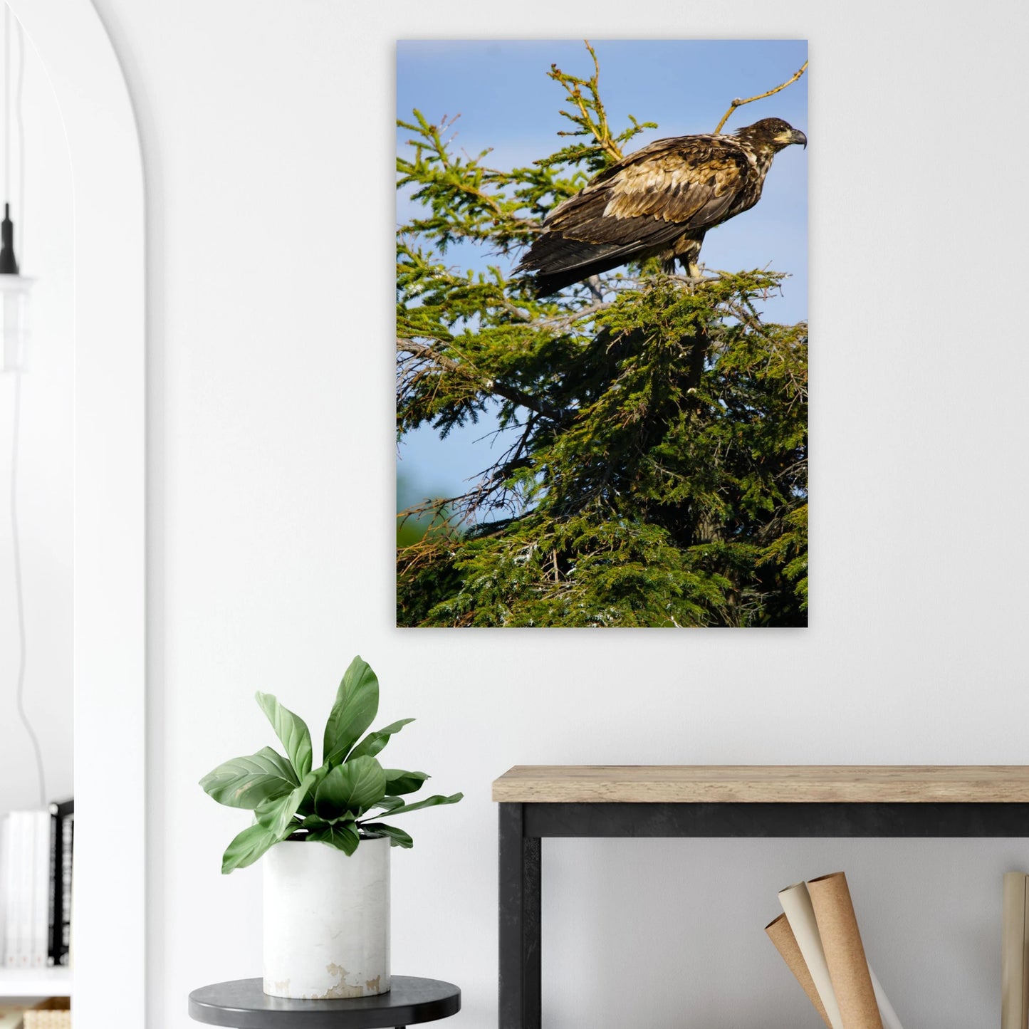 f76d601f-75ac-4ff1-8d6f-1edfa123e2fa