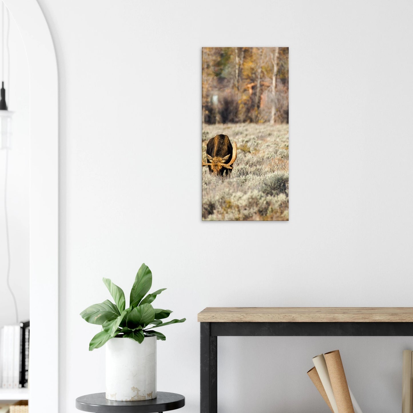 fc0085d9-28b6-4c20-9569-e23e1e0cfa26